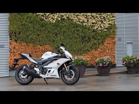 2019 Yamaha YZF-R3 Review | MC Commute