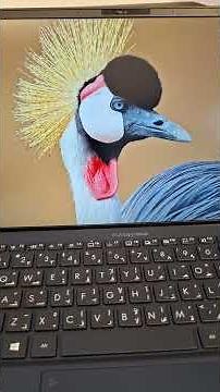 Asus ExpertBook Core i7 Generation 10510U Ram 16Gb SSD 1024Gb slim