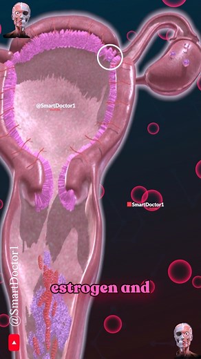 Smart Doctor | The Secret Life of the Menstrual Cycle 🌙🔍‍♀️ . . The menstrual cycle is a monthly process that prepares the female body for potential... | Instagram