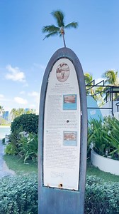 22K views · 421 reactions | Hilton Hawaiian Village is a living part...