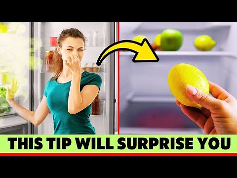 How to Get Rid of Bad Smells in Your Fridge Instantly