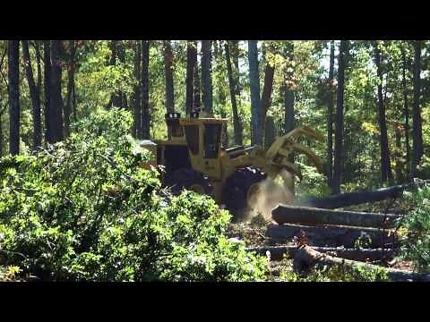 Tigercat 724G feller buncher