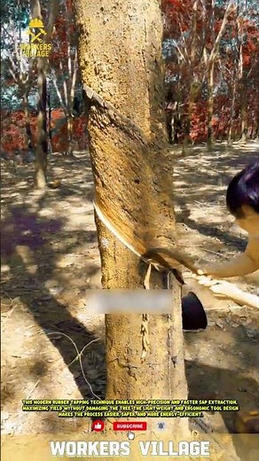 **"Modern, Efficient Rubber Tapping Techniques"** #workersvillage #innovation