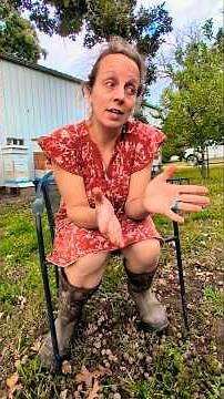 Homestead beekeeping: Did my queens survive Formic Pro??