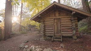 Log Cabin Forest Fall Autumn Leaves Stock Footage Video (100% Royalty-free) 1096584857 | Shutterstock