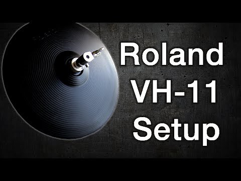 Roland VH-11 Setup