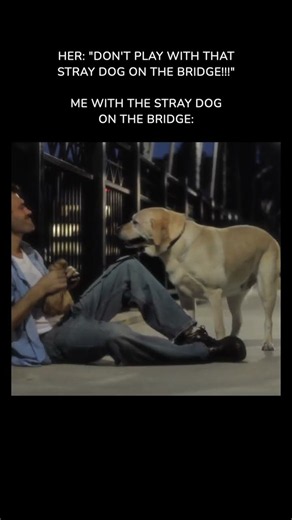 ON THE BRIDGE