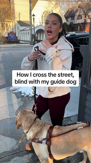 Guide Dog Crossings: Navigating Streets Safely with My Best Boy