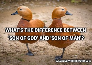 What is the difference between "Son of God" and "Son of man"? : Wednesday in the Word