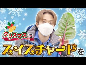 この野菜知ってる？？カラフル西洋野菜の魅力に澤夏が触れる！！