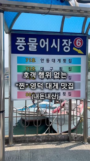 [내돈내산] 호객행위 없는 🦀영덕 대게 “찐”맛집 찾는다면? 대구횟집으로 가세요, 네이버 예약 시 물회 공짜로 제공! #영덕대게 #영덕 #영덕여행 #영덕맛집 #영덕군