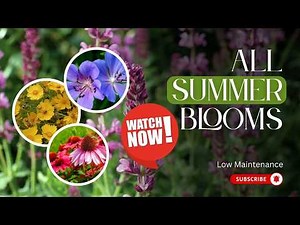 10 Perennials That Bloom From Spring to Fall With Very Little Care