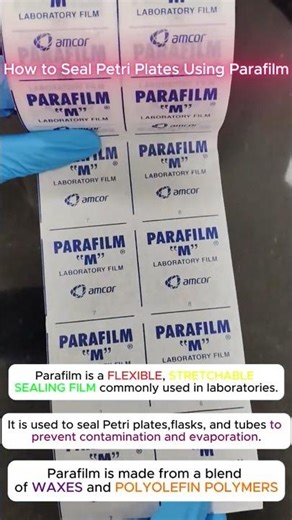 How to Seal Petri Plates Using Parafilm | Lab Technique 🧪 #theaniverse #ytshorts #microbiology