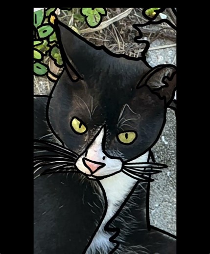 Cartoonizing my cat #Cute #Cat #Art #Drawing #Cartoon #CuteCat