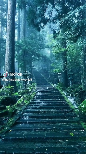 Nature Vibes Background Music in Tamil