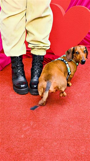 АРИАНА ВОВРЕМЯ😅😅😅 #viral #trending #foryoupage