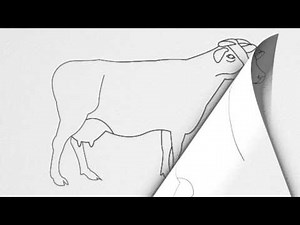 How to draw a COW step by step.