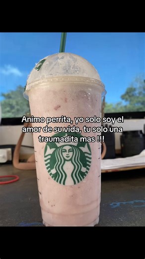 Jajaa #laex #jajaja #parati