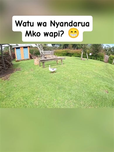 Discover the Coldest County in Kenya
