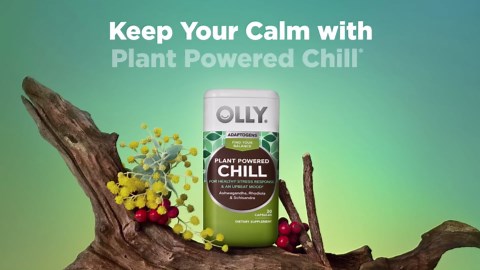 OLLY Chill Adaptogen, Ashwagandha, Mood Support Supplement with Rhodiola Root, Vegetarian Capsules - 30ct