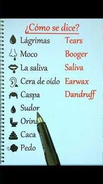 VOCABULARIO BÁSICO EN INGLÉS – APRENDE INGLÉS PARA PRINCIPIANTES 📖🇺🇸🤩 #ingles #aprenderingles