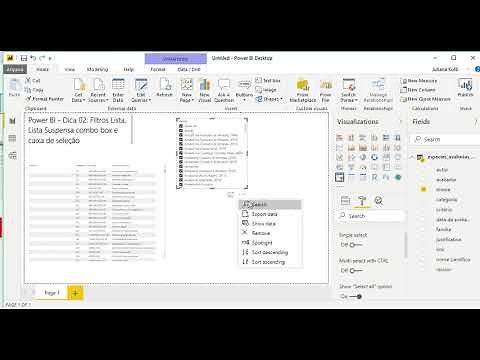 Power BI - Dica 02: Filtros Lista, Lista Suspensa combo box e caixa de seleção