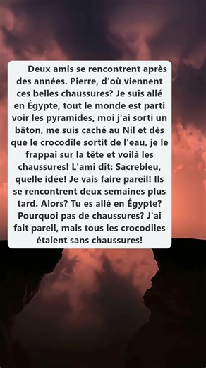 Blague sur les crocodiles et les chaussures