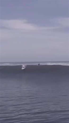 Who says 8ft softboards are just for beginners on small waves? @brown_guy_brown pushing the limits of foamie fun. 🎥 @clowdor | Softlite Soft Surfboards
