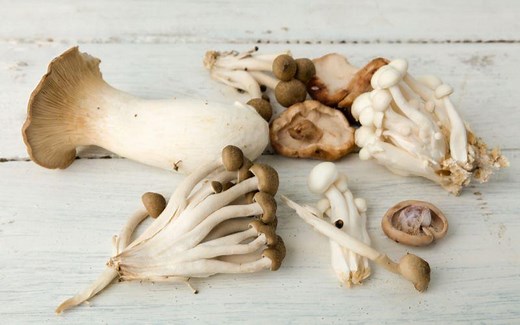 8 beneficios de los hongos: qué son, lista y recetas