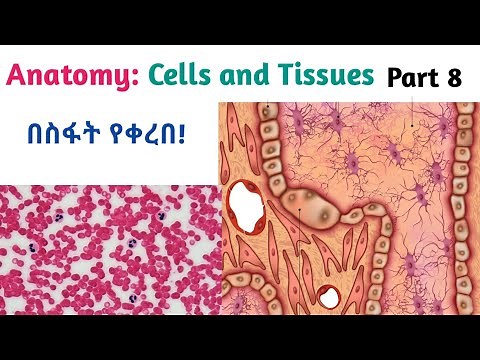 Anatomy: Cells and tissues, General Histology, Interesting Video Lecture with Amharic Speech, Part 8