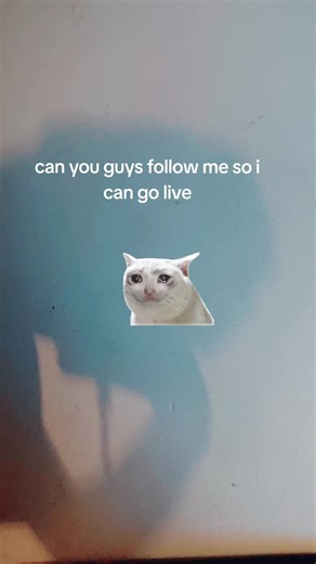 Goat10 (@goat1063)’s videos with som original - angel