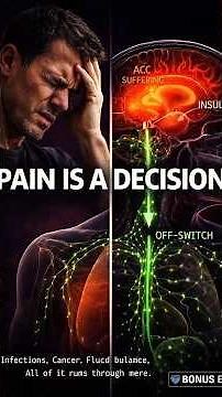 The Neuroscience of Pain — How Your Brain Decides You're Hurting