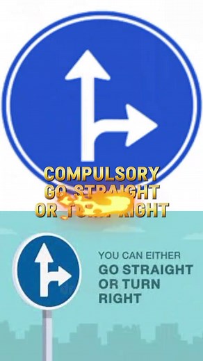 Understanding Regulatory Driving Signs for Learners