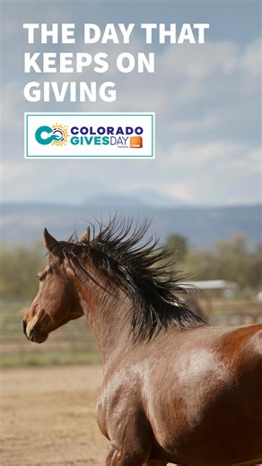 The Day That Keeps on Giving! 💙 Colorado Gives Day is December 9. Join us in reaching our $100,000 goal for CHR’s horses! Early giving has begun🤩, and every donation from now until December 9 boosts our share of the $1M Incentive Fund — aka, more dollars for our herd! 🤍 Support CHR’s campaign by: ✨Using the Fundraise button in our Colorado Gives Foundation profile to start a fundraiser on our behalf. Link: www.coloradogives.org/fundraise/solutions 🤝Sharing this post! 📧Signing up for our new