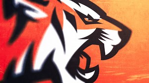 How To Design Sports Logos: Create Your Own Team Mascot | Fraser Davidson | Skillshare