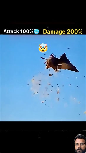 #birds #automobile #memes #video #pawsn #animals