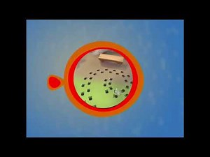 minimax up next Eszes Jess