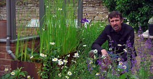 3.3K views · 153 reactions | Want advice on gardening in a drought? Don't miss tonight's Gardeners' World. Plus Monty shows how to prune roses and Frances visits a beautiful garden that's buzzing with wildlife. 7.30pm, BBC2 bbc.co.uk/programmes/m000kcjs | BBC Gardeners' World Magazine | Facebook