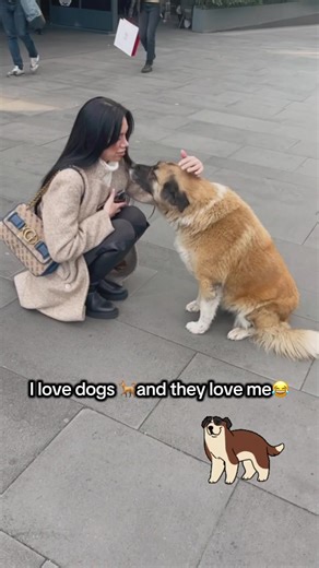 Unexpected Dog Meeting: An Endearing Animal Encounter