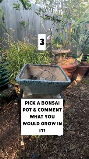 Pick A Bonsai Pot