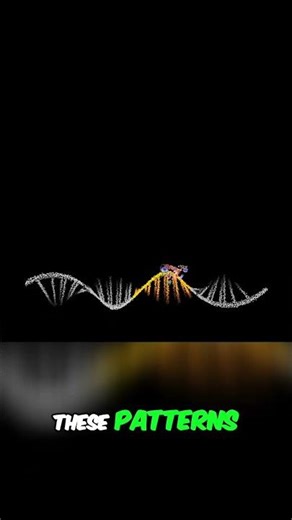 Your REAL Age Isn’t Your Birthday — It’s Your Epigenetic Age 🔬