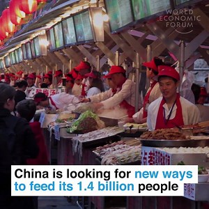 One solution? Buying agricultural land in other countries. Learn more about agriculture in China: https://wef.ch/2I5Qm9k | World Economic Forum