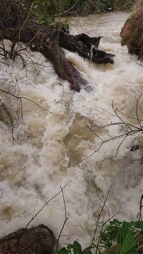 Dangerous River Overflow! ⚠️ | 4K Intense Nature #storm #flood