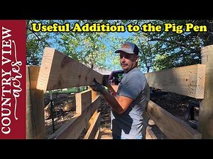 Building a Loading Chute for Pigs & Attempting to Get Them in the Trailer.