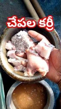 మా ⛵ బోటులో Fishcurry #sea #seafood #shorts #fishing