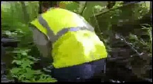 The Private Life of Deer - Amazing Nature Documentary (HD)