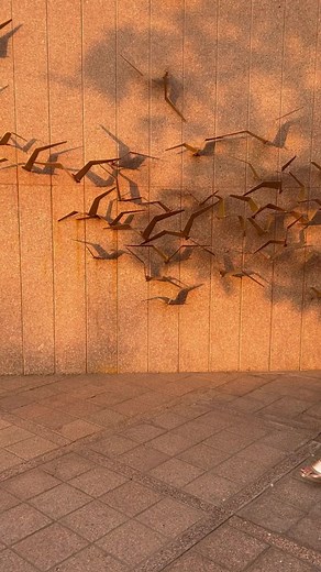 148K views · 6.6K reactions | Love for flowers  and beautiful ethnic...