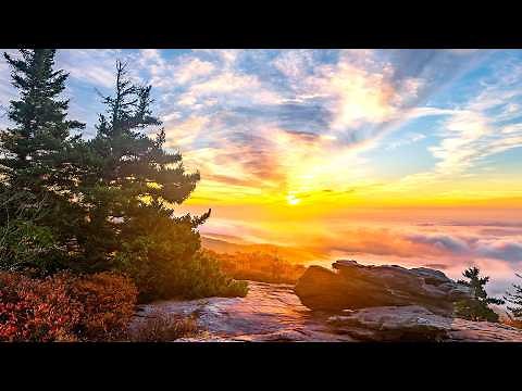 Glory to God on High (Instrumental) - Traditional Beautiful Hymn arranged by Tim Janis