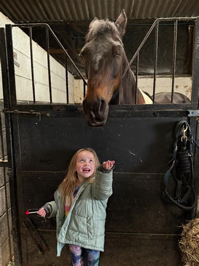 The Heartwarming Journey of Addie and Batman the Pony