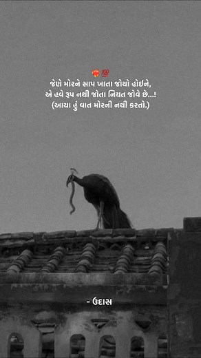25K views · 101 reactions | એ હવે રૂપ નથી જોતા નિયત જોવે છે...! • • • #udaas #reel #ahmedabad #surat #trending # viral #shayri #instagram #love #follow #gujrati અમારી બધી જ પોસ્ટ કાલ્પનિક છે.  જેનો હેતું ફક્ત ને ફક્ત મનોરંજન માટે છે...!! Thank you... | Mer Vivek | Facebook